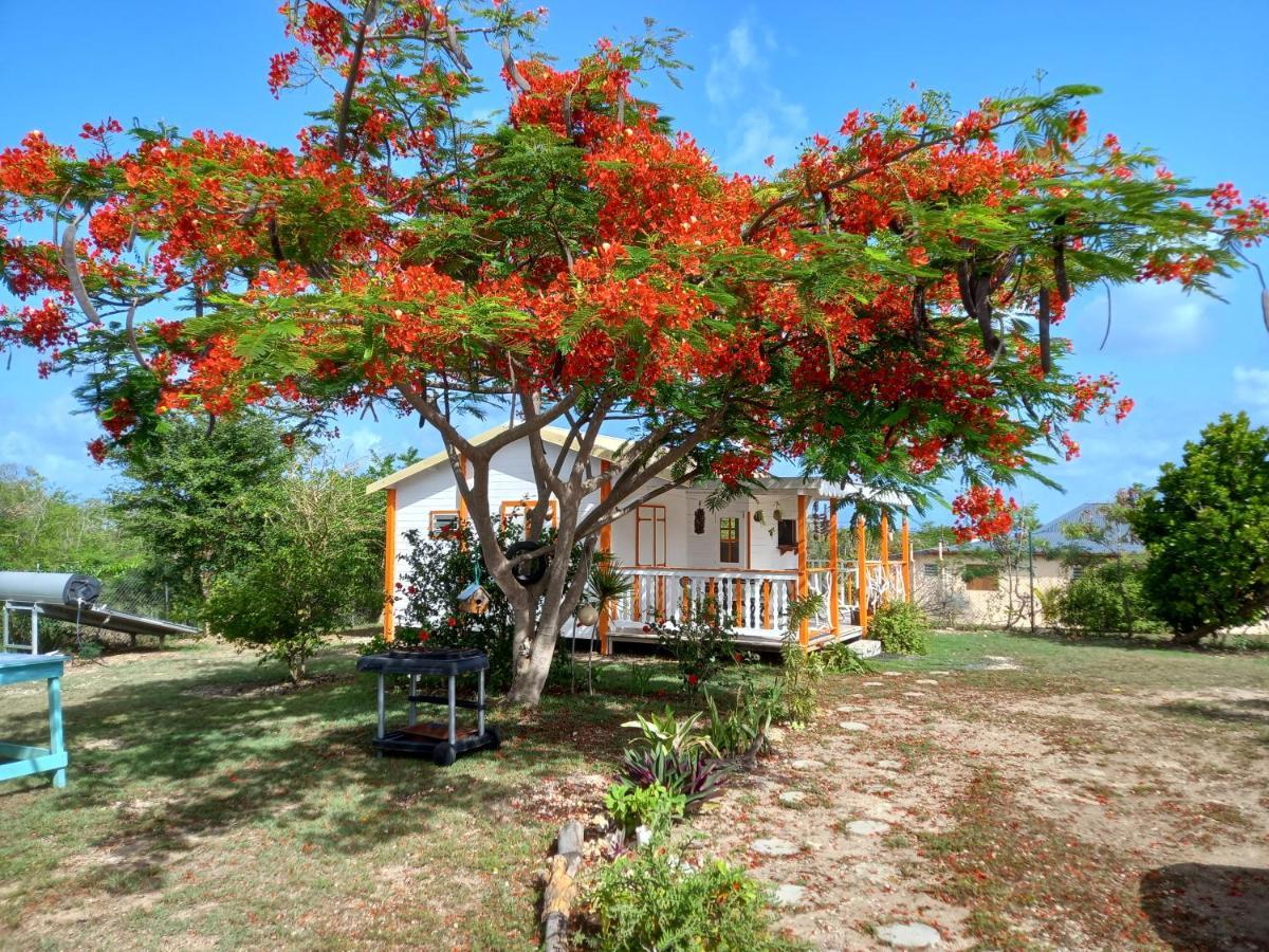 Bungalow Au Soleil Saint-Francois  Buitenkant foto